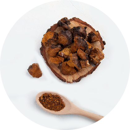 Organic Chaga