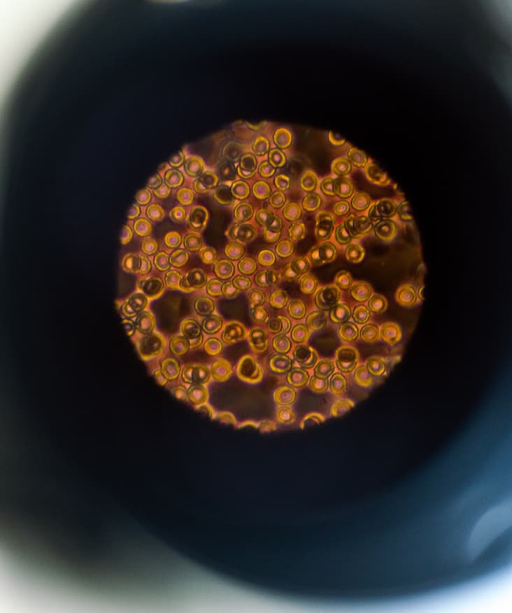 Recognising uncontrollable factors