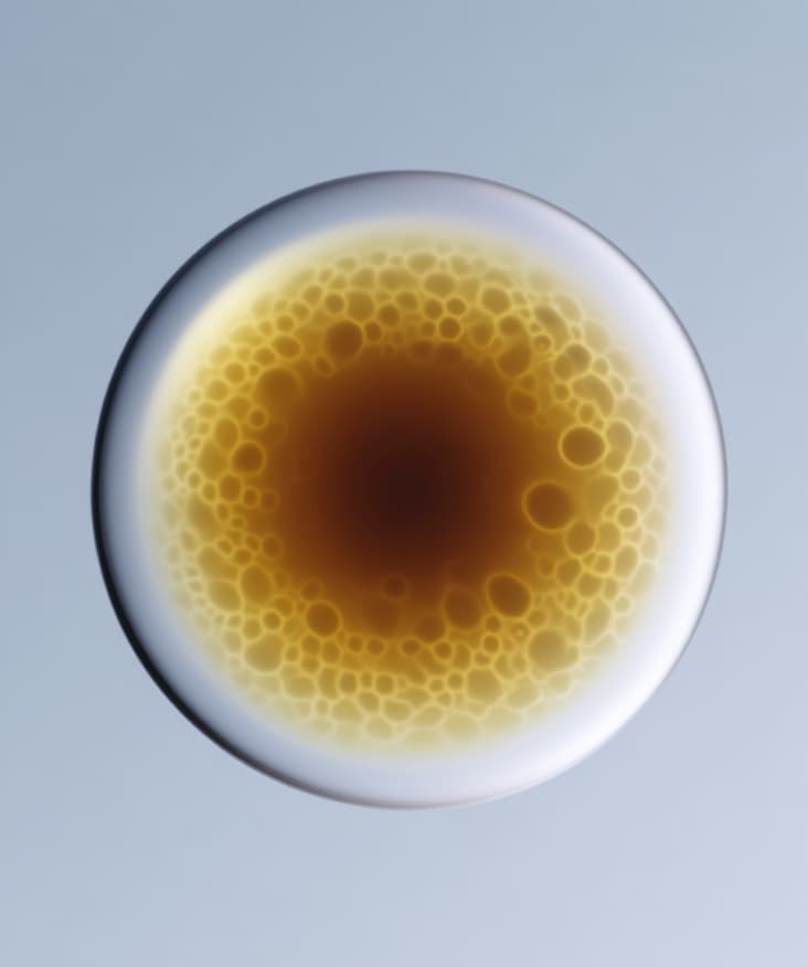 Recognising uncontrollable factors